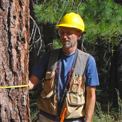 Eric Knapp measuring the DBH of a tree