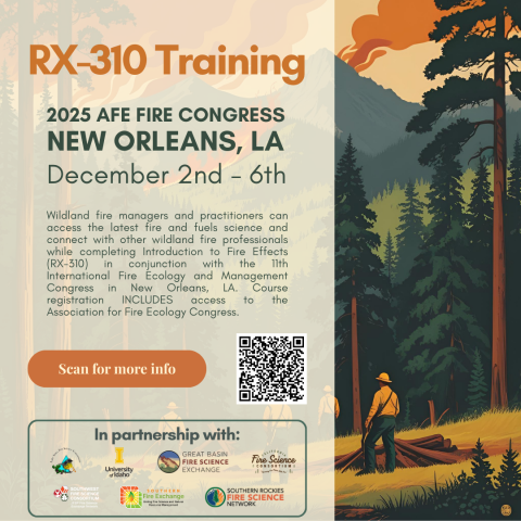 Rx-310 flyer