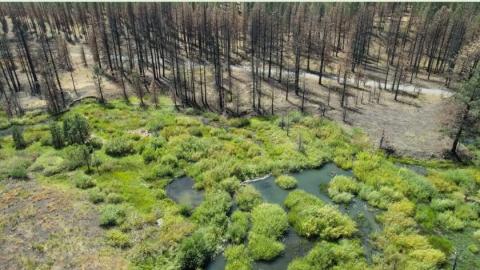 Beaver Dam image