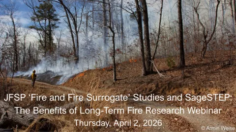 Prescribed fire in a forest with a fire practitoner