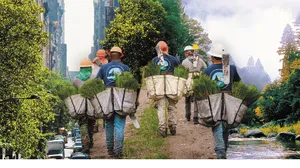 People carrying seedlings for reforestation