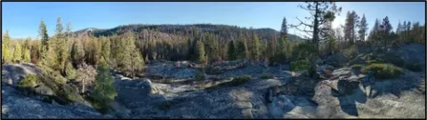 landscape image after the caples fire