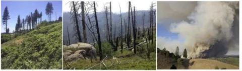 A series of three photos showing before, after, and during wildfire
