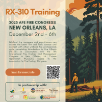 Rx-310 flyer