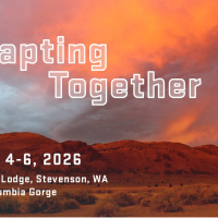 Adapting Together Workshop