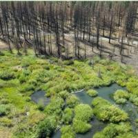 Beaver Dam image
