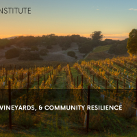 Flyer of a vineyard with the title of the conference (Common Ground: Prescribed Fire, Vineyards, and Community Resilience) and sponsorship logos (CAL FIRE, CFSC, and Napa Valley Vintners)