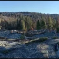 landscape image after the caples fire