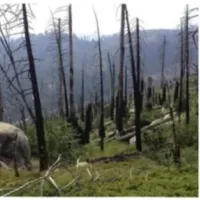 A series of three photos showing before, after, and during wildfire