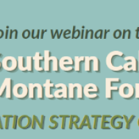 Southern California Montane Forest Conservation Strategy Overview logo
